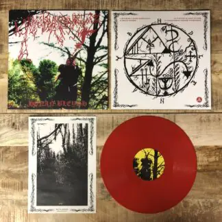 Ynkleudherhenavogyon - Honan Bleydh col. red LP