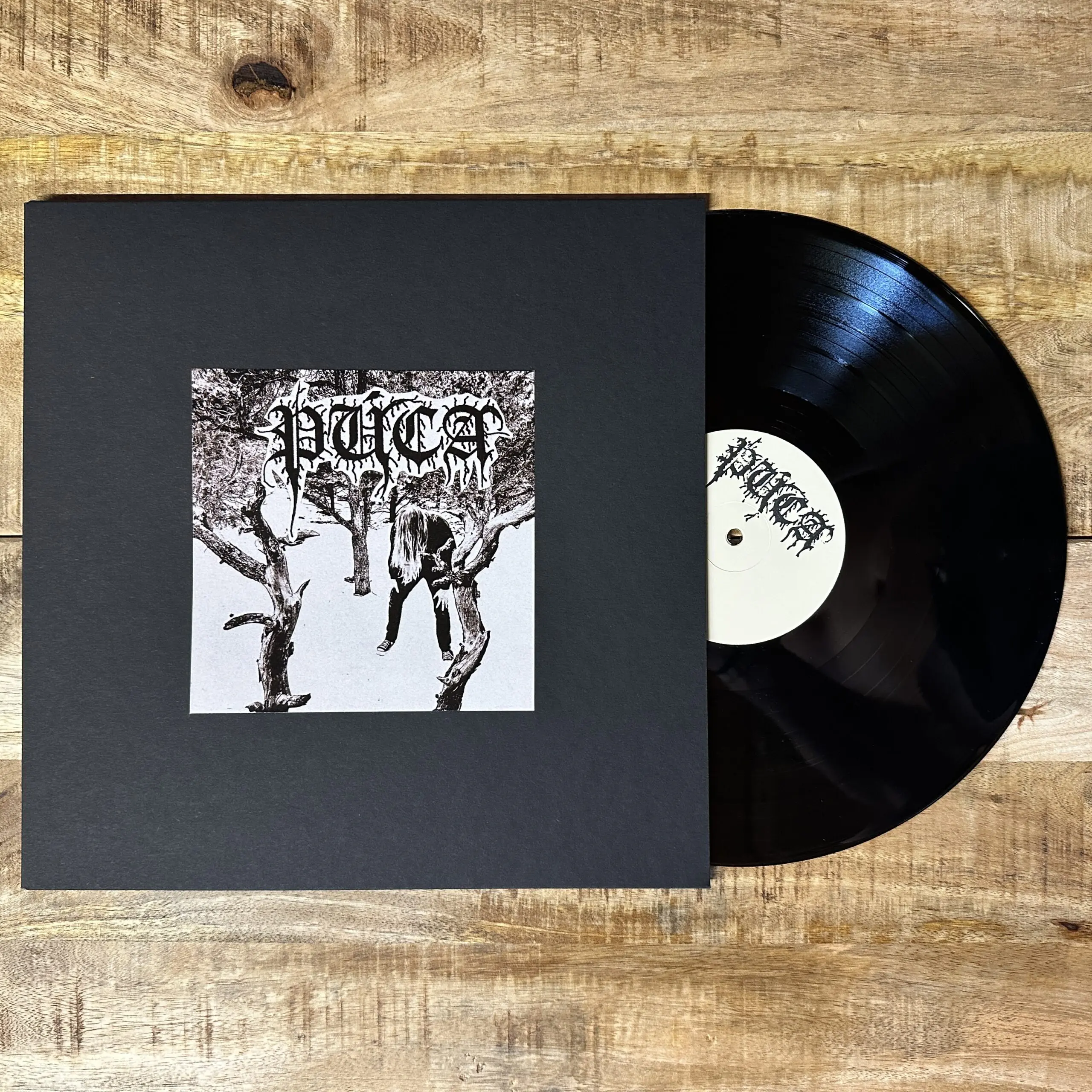 Púca - Demo/Of Rot and Rainfall TPLP