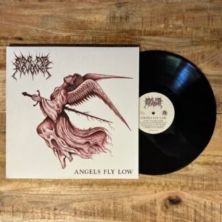 Ride For Revenge - Angels Fly Low LP